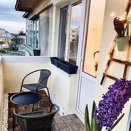 Interbelic-central Apartament 아파트